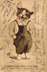 Wild-Eyed Cat, Afraid to Go Home In The Dark, Message, Old Postcard