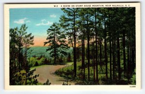 Stump House Mountain Walhalla South Carolina Linen Postcard SC Vintage Unused
