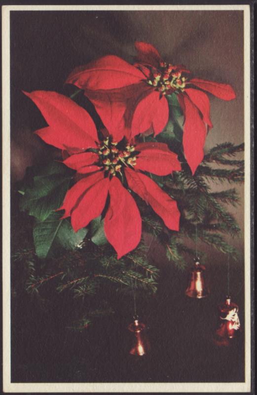 Poinsettia,Mainzer Postcard