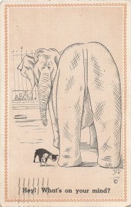 G76/ Pet Dog Animal Postcard Comic c1940s Elephant Pug 14