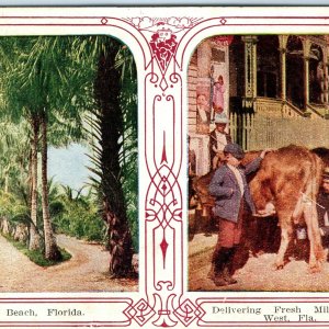 c1909 Key West Fla. Fresh Raw Milk Delivery from Cow! Postcard Palm Beach A37