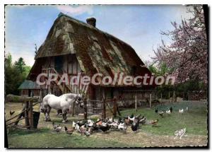 Modern Postcard Normandy entire Farm