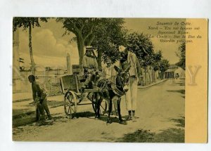 3144737 GREECE CRETE native DONKAY carriage Vintage postcard