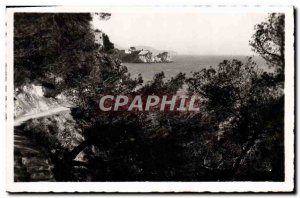 Old Postcard Toulon Cap Brun