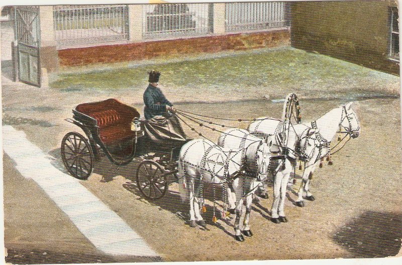 Carriage drawn by four white horses Nice old vintage french postcard