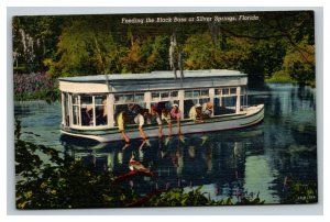 Vintage 1959 Postcard Feeding Black Bass River Boat Silver Springs Florida
