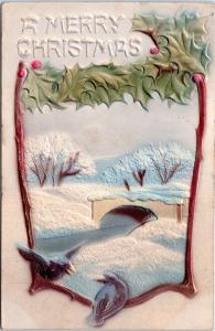 Merry Christmas embossed with holly and birds posted 1906 Carnegie OK