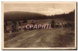 Postcard Old Party na Radhosti Berger sheep