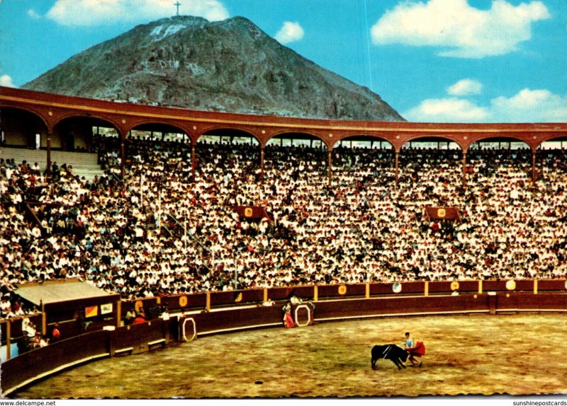 Peru Lima Bull Fight Finishing Stroke In The Circus Of Acho