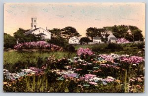 Chatham Cape Cod Massachusetts~Across Meadow~c1910 Hand-Colored Postcard