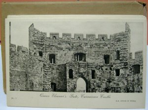 12x Pictorial Postcards Carnarvon Castle Wales in envelope