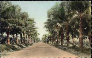 angola, LOBITO, Entrada para Catumbela (1960s) RPPC