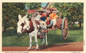 Vintage Postcard Charro Days on the Rio Grande Horse Carriage Transportation