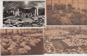 FLOWER EXPOSITION Gand 1908, 1933,1955 Belgium 42 Vintage Postcards (L5473)