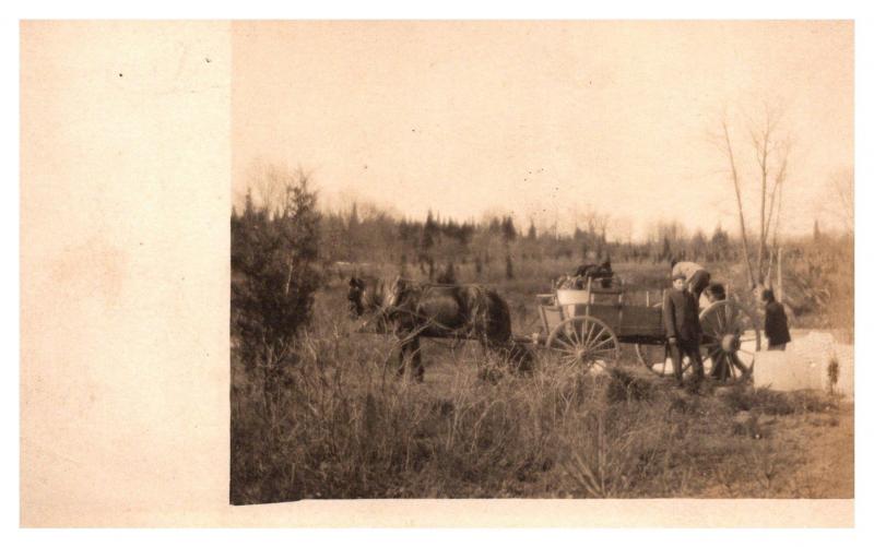  Farmers Loading Wagon  , RPC