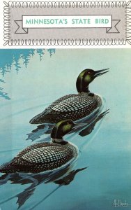 VINTAGE POSTCARD PAIR OF LOONS - MINNESOTA'S STATE BIRD 1961 CARD