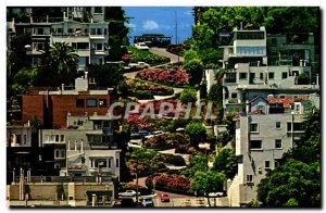 Modern Postcard Lombard Street San Francisco