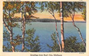 Reed City Michigan Scenic Waterfront Greeting Antique Postcard K97018