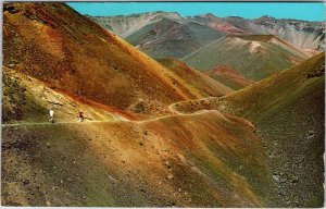 Postcard ROAD SCENE Haleakala Crater Hawaii HI AL9395