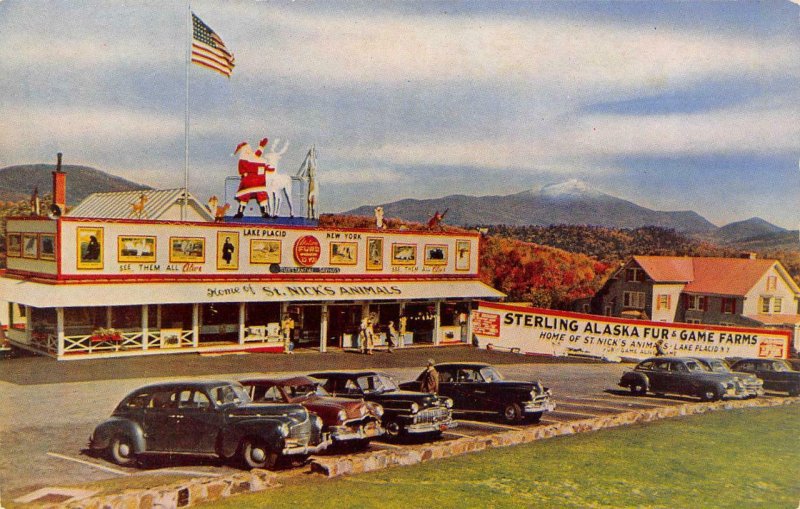 STERLING ALASKA FUR & GAMES FARMS Lake Placid, NY Roadside ca 1950s Postcard