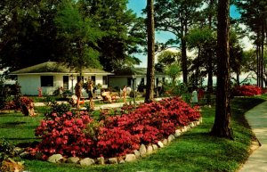 Mississippi Biloxi The Sea Gull Motel