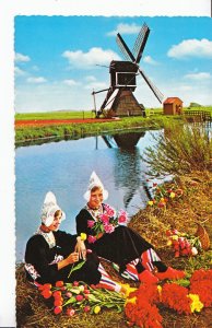 Netherlands Postcard - Holland - Land of Flowers and Wind-Mills     A9819