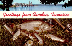 Tennessee Greetings From Camden Split View