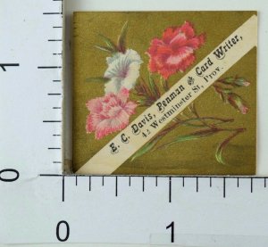 Victorian Trade Card E.C Davis Penman & Card Writer Colorful Flowers Nice F68