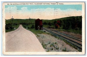 1943 On The Buffalo Pittsburgh Trail, Allegheny National Fresh of PA Postcard