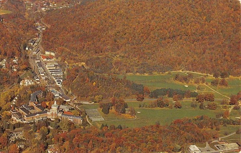 Hot Springs Virginia The Homestead Birdseye View Vintage Postcard K107891