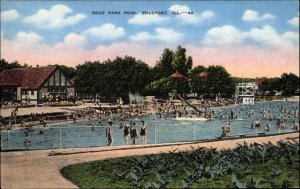 Freeport Illinois IL Read Park Swimming Pool Vintage Postcard