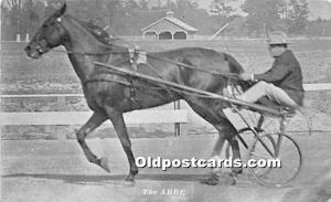 The Abbe Trotter Horse Racing Unused 