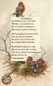 1880s-90s The Bullfinch Clark's Mile-End Spool Cotton Best Six Cord Thomas Russe