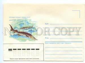 495213 USSR 1986 year Bragintsev commercial fish Amur sturgeon COVER