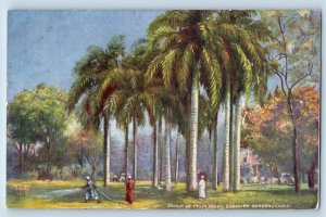 Cairo Egypt Postcard Group of Palm Trees Esbekieh Garden c1910 Oilette Tuck Art