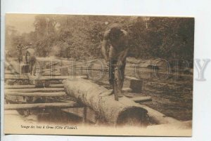 439413 AFRICA Ivory Coast Sawmilling in Orno Vintage postcard