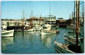 Postcard - Fisherman's Wharf - San Francisco, California