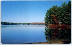 Postcard - Little Ossipee Pond - Maine