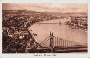 Hungary Budapest Erzsebet Hid Vintage Postcard C112