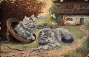 A/S Schroplec Fluffy Gray Kittens Play in Hat c1910 Vintage Postcard