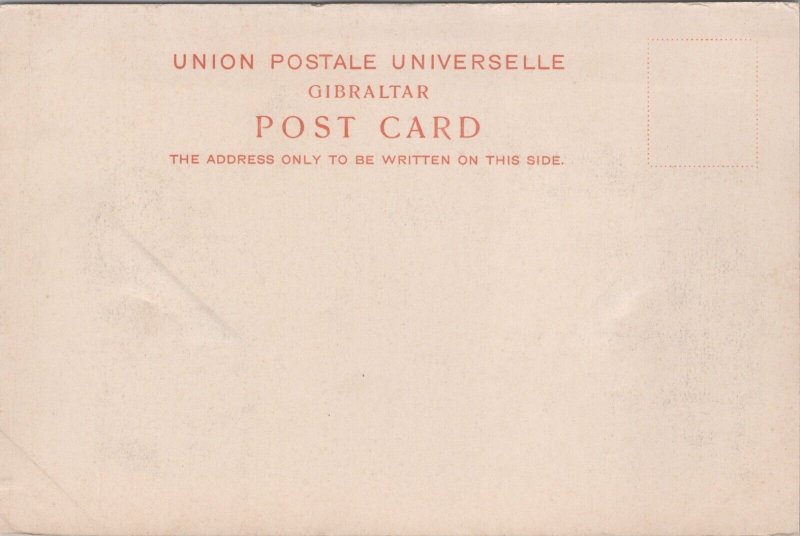 Gibraltar Neutral Ground Vintage Postcard C117