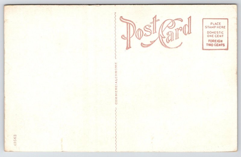 French Lick Springs Hotel~Big Planter in Hot Pluto Buffet Interior~1920s PC