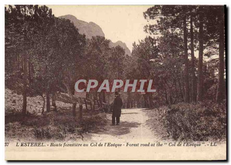 Old Postcard Esterel forestry road to the Col de l'Eveque