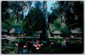 Vtg Florida FL Silver Springs Seminole Indian Village Flamingoes View Postcard