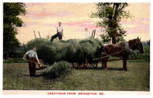 Pitching Hay on Horse drawn Wagon