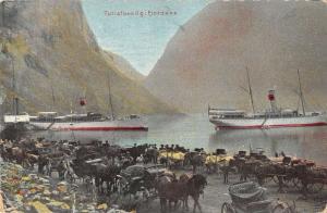 Turistbesog Fjordene Steamers Carriages Antique Postcard J44173