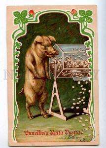 202923 NEW YEAR Funny PIG w/ LOTTERY Lotto Vintage postcard