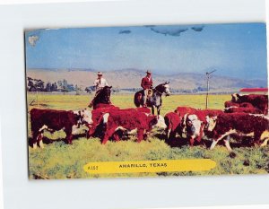 Postcard Amarillo Texas USA