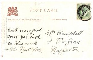 Dog , partridge Shooting