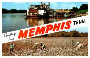 Postcard FARM SCENE Memphis Tennessee TN AR3399